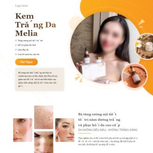 Theme wordpress landing page trị nám